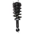 Prt Suspension Strut And Coil Spring Assembly, Prt 714109 714109